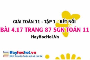 Giải bài 4.17 trang 87 Toán 11 tập 1 SGK Kết nối tri thức